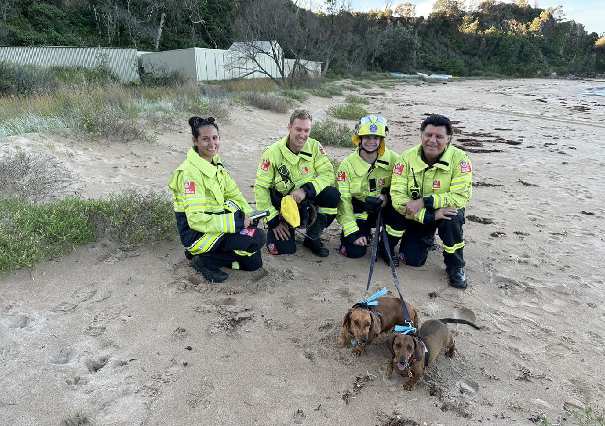 Sausages rescued after getting stuck down Batemans Bay rabbit hole - Power  FM Bega Bay